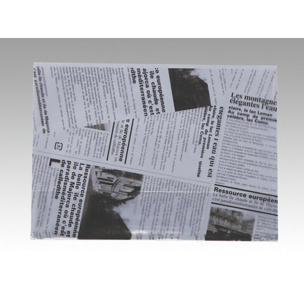 大阪ポリヱチレン販売 ヨーロピアン縦型サンド（A）