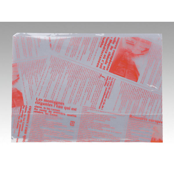 大阪ポリヱチレン販売 ヨーロピアン縦型サンド（A）レッド 6859 1包：100枚×10（直送品）