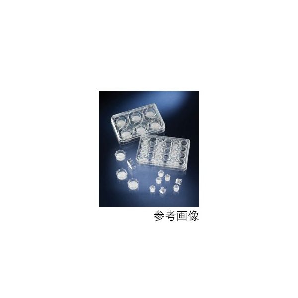 サーモフィッシャーサイエンティフィック セルカルチャーインサート(マルチディッシュ入り)12ウェル 8μm 140656 1パック(48個)（直送品）
