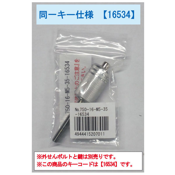 ガードロック 外せんボルト(鍵付ローレットボルト)ネジサイズM5