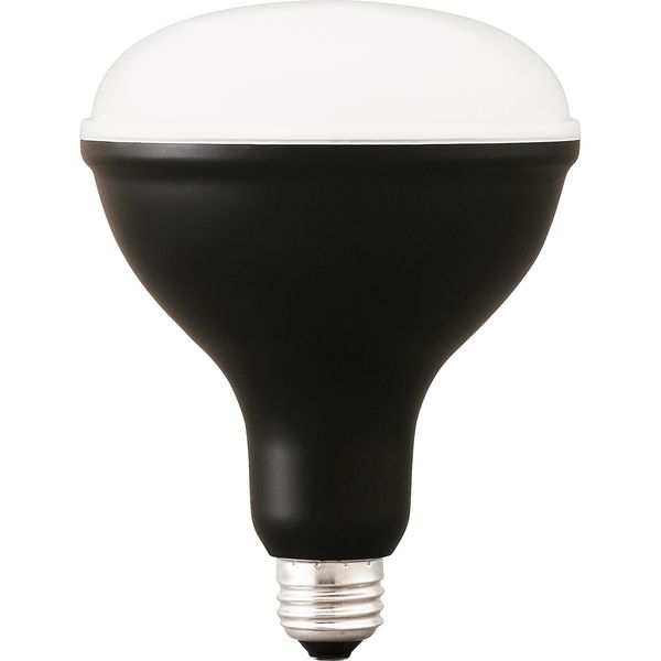 アイリスオーヤマ LED電球 投光器用 2000lm LDR16D-H-E 1個 - アスクル