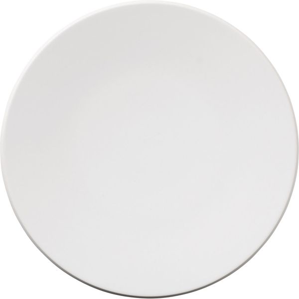 陶里 大皿 スノーホワイト（カルマホワイト）10吋プレート (2個入) tri-300204716（直送品）