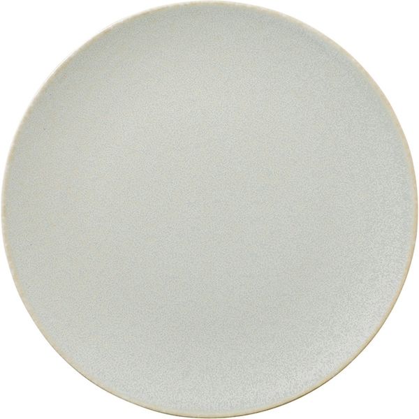 陶里 中皿 シルバーグリンプレートＭ (2個入) tri-301204116（直送品）