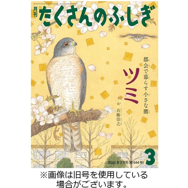 たくさんのふしぎ 2022/05/03発売号から1年(12冊)（直送品） - アスクル