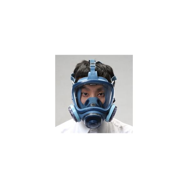 エスコ 防塵マスク(全面形) EA800MP-2 1個（直送品）