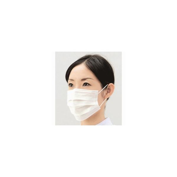 エブノ メガクリーンマスク 3PLY 耳掛 ホワイト 3000枚入(50枚×60箱) 870 1ケース(3000枚)（直送品）