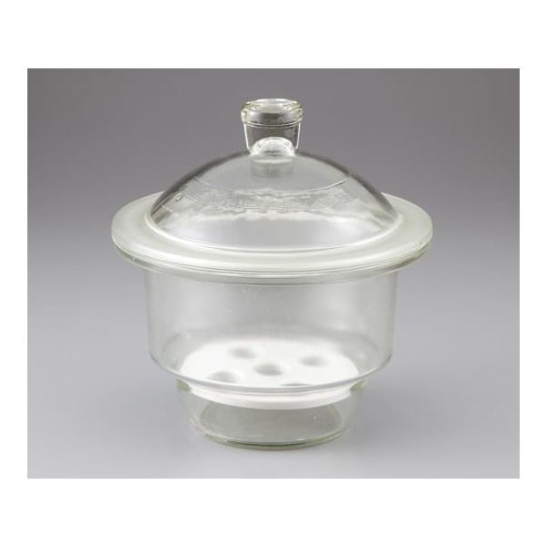 アズワン 乾燥ガラス器 φ180mm 13510210Y 1台 1-1474-14（直送品）