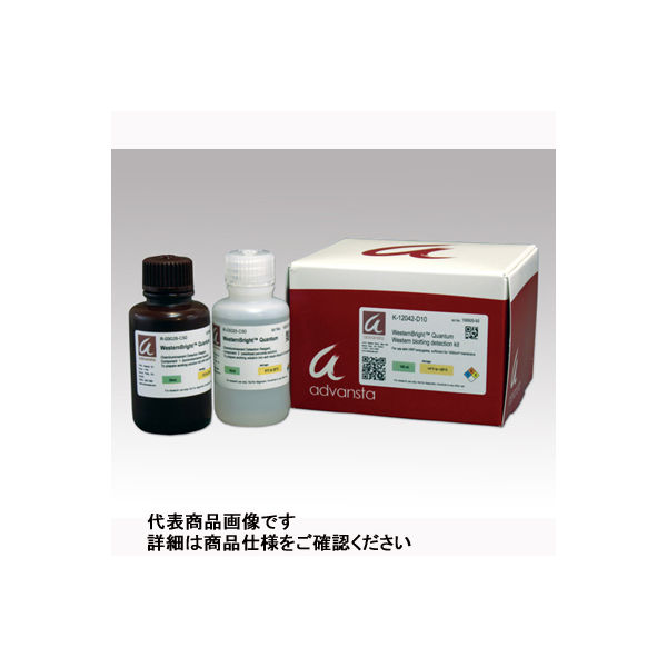 アズワン 試薬 Kー12043ーC20 1式 2-4146-01（直送品）