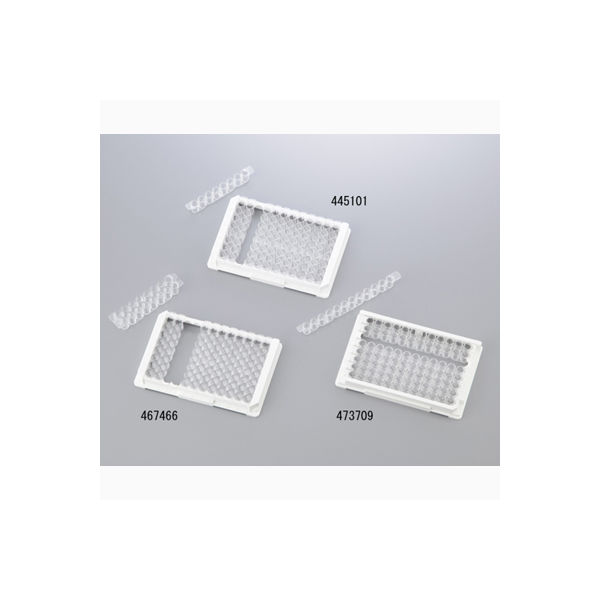 サーモフィッシャーサイエンティフィック イムノモジュール 445101 1パック(60個) 2-3865-05（直送品）