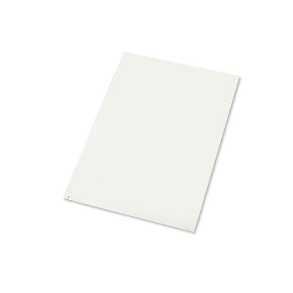 アズワン エコノミー粘着マット(強粘着タイプ) 白 600×1200 1箱(30層×10シート入) 2-4910-03 1箱(10枚)（直送品）