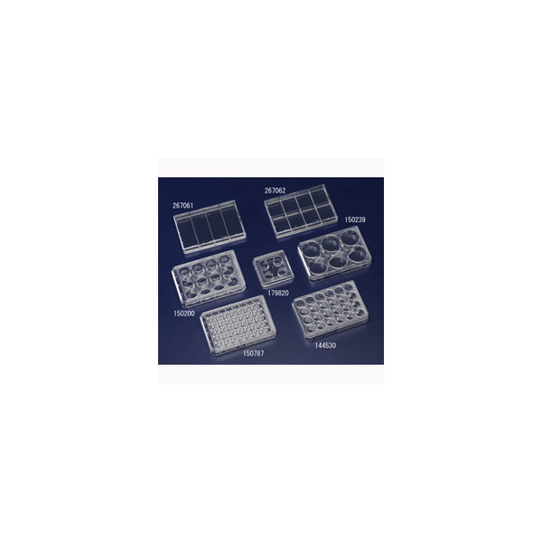 22-4331552-140682-STD-01.jpg-