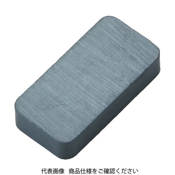 トラスコ中山 TRUSCO フェライト磁石 角形 30mmX10mmX5mm 10個入 TF30K-10P 1袋(10個) 415-1411（直送品）