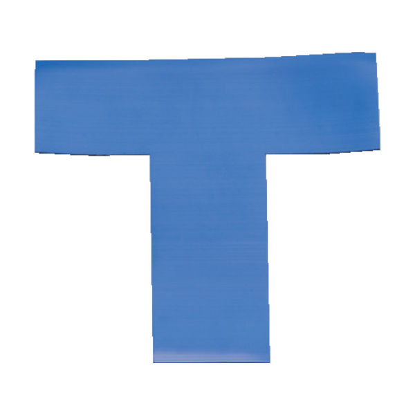 岩田製作所 IWATA ラインプロTタイプ(青)2枚入り LPT5 1袋(2枚) 419-2516（直送品）