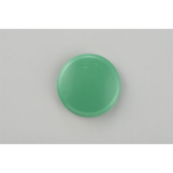 日本緑十字社 丸型カラーマグネット マグネ40（5/緑）40mmφ 10個1組 312095 1セット（50個：10個×5組）（直送品）