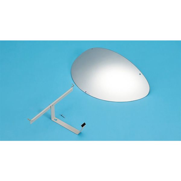 日本緑十字社 ラミ(壁掛けミラー) LMー5 280031 1台（直送品