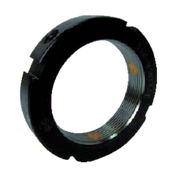 エバオン EVN ロックナット EPT 直角度0.005 M35×1.5 EPT35N-5-M35X1.5 1個 444-2695（直送品）