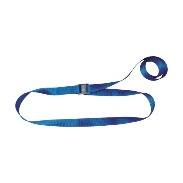 テザック TESAC ラッシングベルト(ベルト荷締機)カムバックル式エンドレスタイプ C15N040-000A 1台 433-3951（直送品）