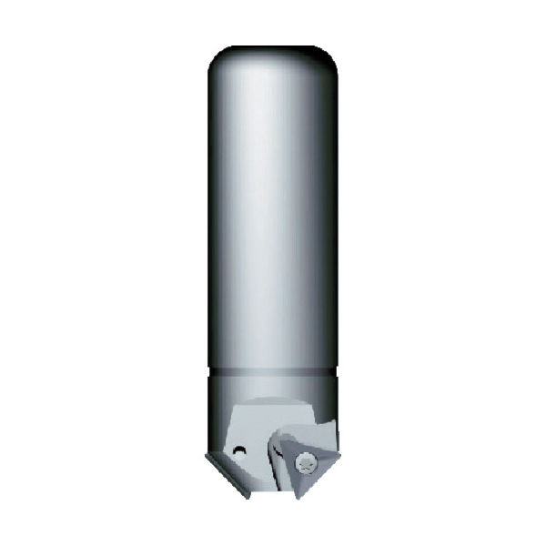 富士元工業 富士元 エコメン2 NKL3036T 1本(1個) 447-0958（直送品）