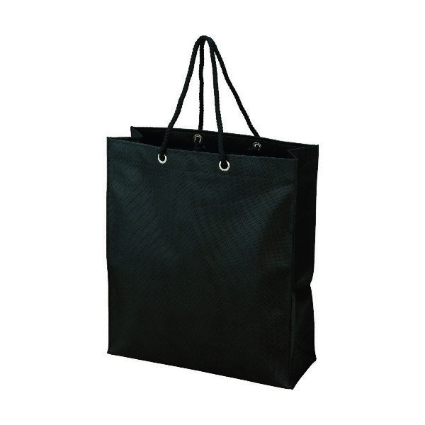 トラスコ中山 TRUSCO 不織布バッグ 黒 315×355×110MM (10枚入) TNFB-10-S 1袋(10枚) 441-9022（直送品）