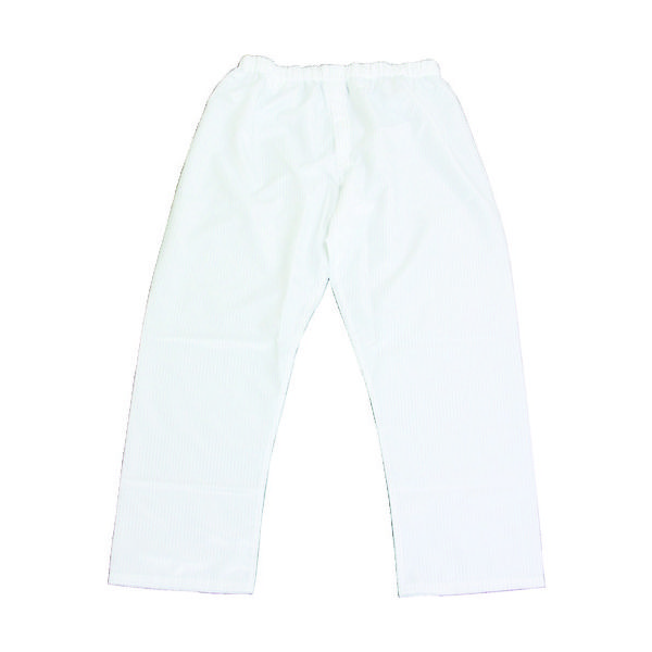 ブラストン パンツー白ー4L BSC-50001-W-4L 1着 447-5798（直送品）