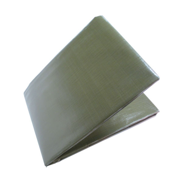 萩原工業 萩原 ターピーシート #3000(カラーシート) ODグリーン 1.8m×1.8 TPOD1818 1枚 377-8916（直送品）