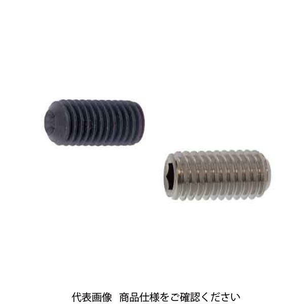ファスニング J 鋼 六角穴付き止めねじ（ホーローセット）（AWP） 2 X 2.5 A000504A0020002500 1箱（2000個）（直送品）