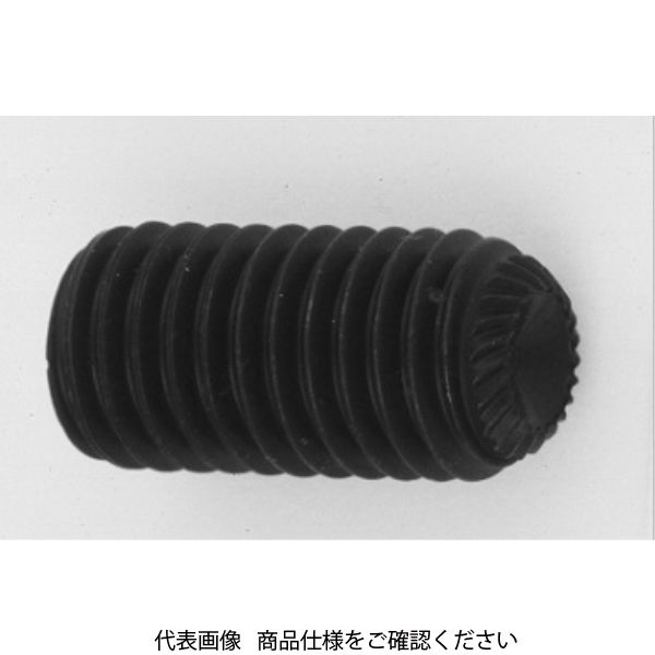 鋼 六角穴付き止めねじ(ホーローセット)(ギザスクリュー)[TKS] 5 X 25 A000505T0050025000 1箱(500個)（直送品）