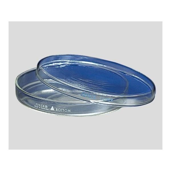 コーニングインターナショナル ペトリ皿 PYREX(R) φ150×15mm 3160-150 1個 2-9446-01（直送品）