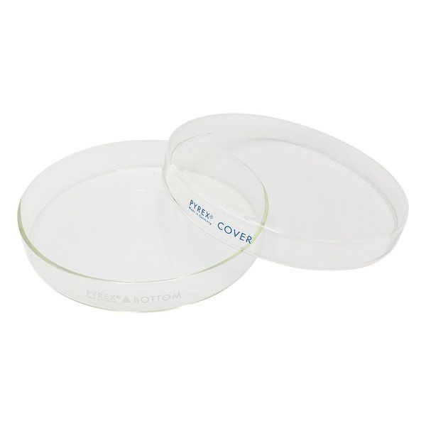 コーニングインターナショナル ペトリ皿 PYREX(R) φ150×20mm 3160-152 1個 2-9447-01（直送品）