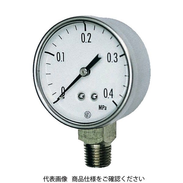 長野計器 長野 小形圧力計 GK20-271-0.7MP 1個 169-3930（直送品）