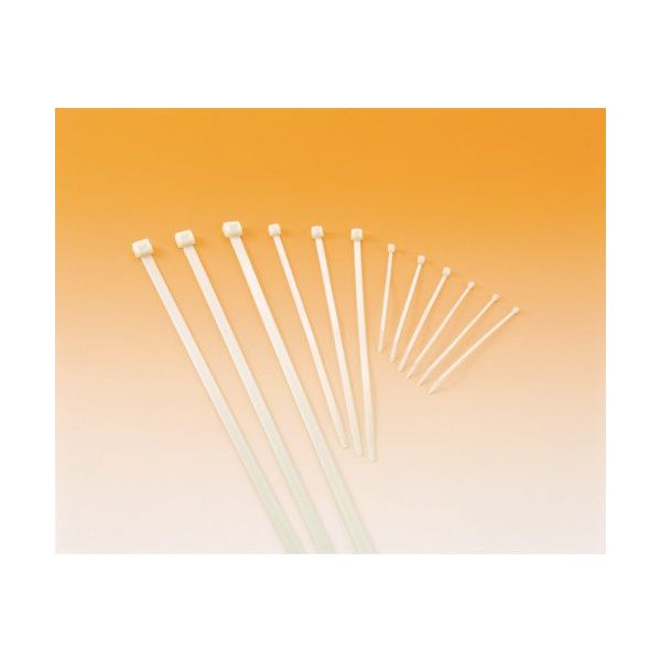 ヘラマンタイトン MSタイ 幅4.8X長さ251mm 100本入 屋内用 T60S-HS 1袋(100本) 433-7701（直送品）