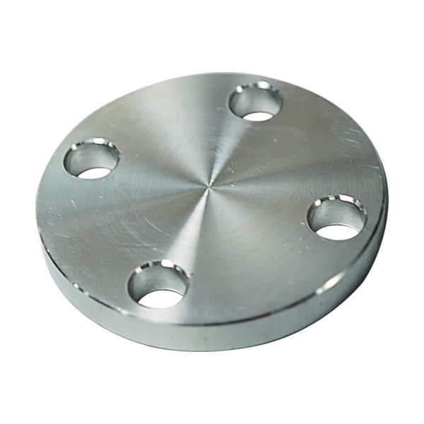 フローバル SUS304 10K 閉止フランジ 14100571 SUS-10K-BL-FF-20A 1個(1枚) 444-5830（直送品）