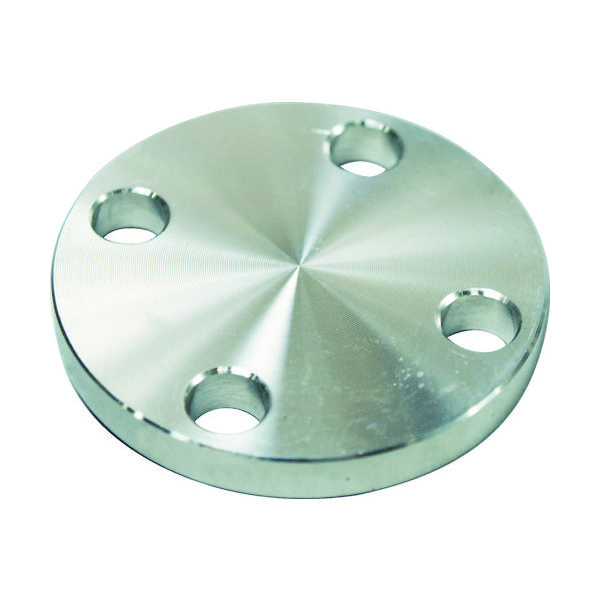 フローバル SUS304 5K 閉止フランジ 14100553 SUS-5K-BL-FF-15A 1個(1枚) 444-6003（直送品）