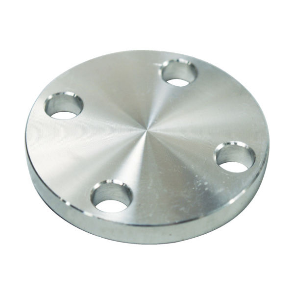フローバル SUS304 5K 閉止フランジ 14100555 SUS-5K-BL-FF-25A 1個(1枚) 444-6020（直送品）