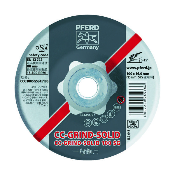 ルゲベルグ PFERD CCグラインドソリッド 125X22 SGスチール CCG125SGS945193 1セット(10枚) 452-5311（直送品）