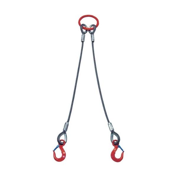 大洋製器工業 TAIYO 2本吊 ワイヤスリング 5t用×2m(1011697) 2WRS 5TX2 1セット(1個) 473-0321（直送品）