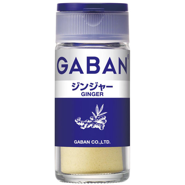 GABAN ギャバン ジンジャー 1セット（2個入） ハウス食品