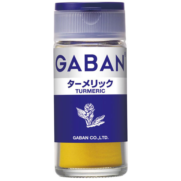 GABAN ギャバン スパイス 香辛料 ターメリック - 調味料・料理の素・油