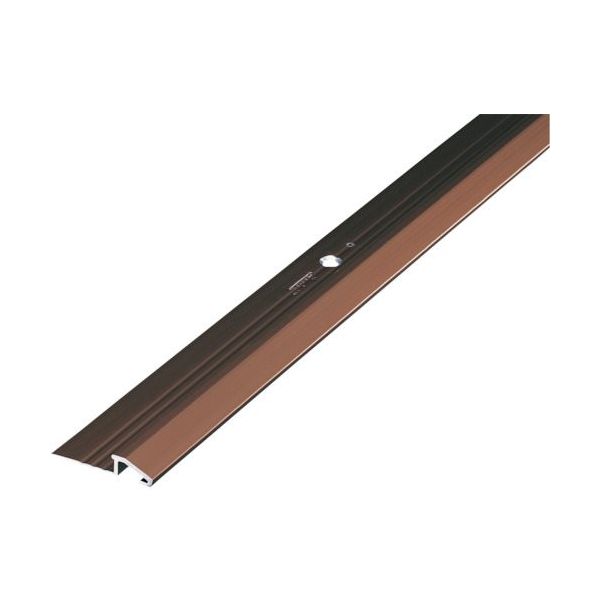 アシスト ASSIST 床金物ディバイドエッジ 穴あり ブロンズ 定尺2M 20-410GB22 1本 262-9297（直送品）