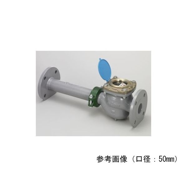 アズビル金門 乾式デジタル表示(タテ型ウォルトマン型)水道メーター(上水接続) NFDW-50A 1個 64-4014-98（直送品）