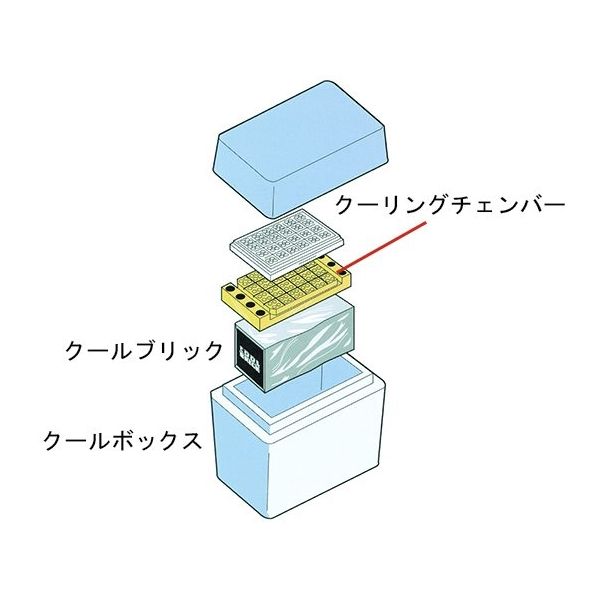 Diversified Biotech ザクールセーフシステム 0.2/0.5/1.5mL用 CSAF-5000 1式 64-5287-47（直送品）