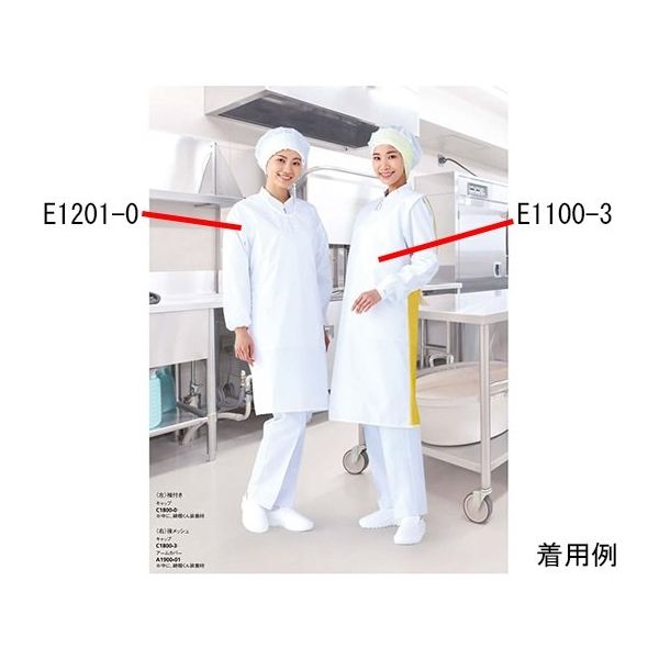 ワコウ センシアRエプロン 袖付 ひもタイプ ホワイト E1201-0H 1枚 64-6227-97（直送品）