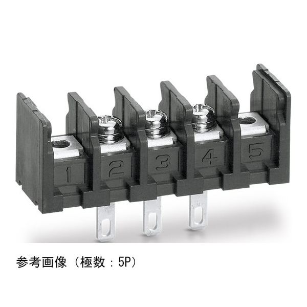 ネジ式端子台 底面絶縁物無し サポート端子無し はんだ付け兼用110タブ端子 セムスネジ 2P ML-250-S1AXS-2P 1個（直送品）