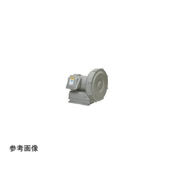 ボルテックスブロワ(Eシリーズ) 2.0/3.0m3/min(50/60Hz) VB-020-E4 1台（直送品）