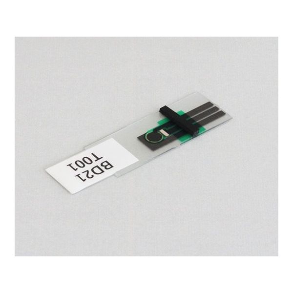 フジデノロ Comilu for histamine ヒスタミンセンサー用酵素センサチップ 10枚入 EC-01H_10 1パック(10枚)（直送品）