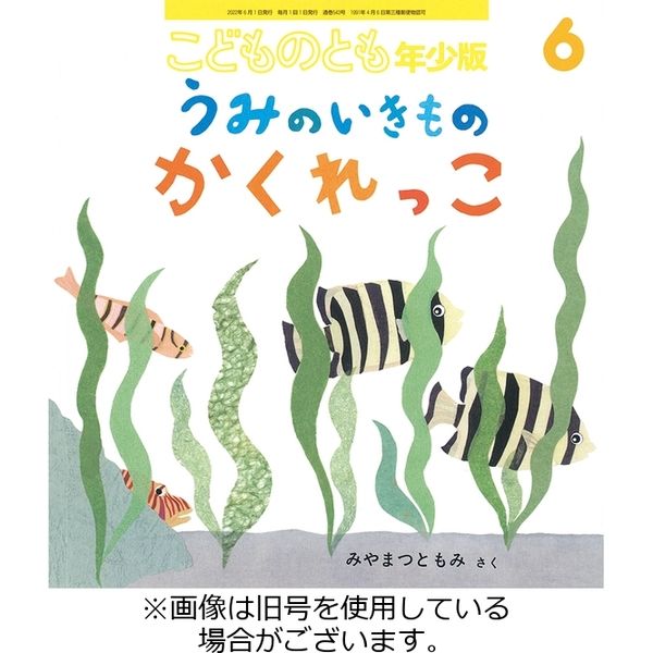 こどものとも年少版 2022/07/01発売号から1年(12冊)（直送品）