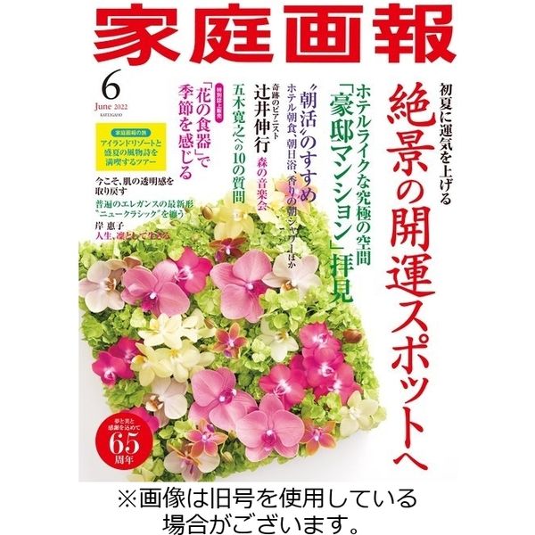 家庭画報 2022/07/01発売号から1年(12冊)（直送品）