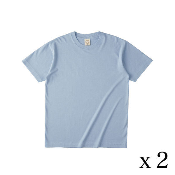 TRUSS オーガニックコットンTシャツ　サイズL　5.3oz　アシッドブルー　1セット（2着入）（直送品）