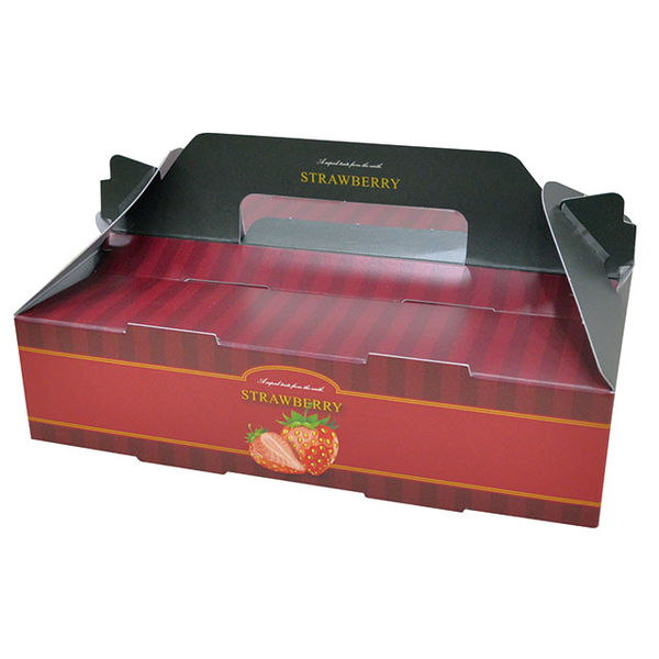 パックスタイル PS手提箱イチゴ 2P リッチレッド小 100枚(20×5) 00592643 1ケース(100枚入(20枚×5袋))（直送品）