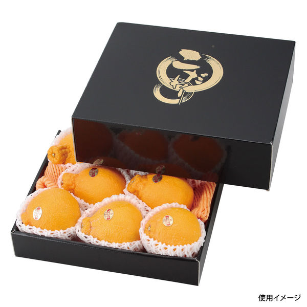 ヤマニパッケージ L-2219 こだわりの黒(中)　50枚(10×5) 517626（直送品）